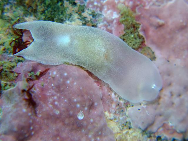 d0175710_7421249.jpg