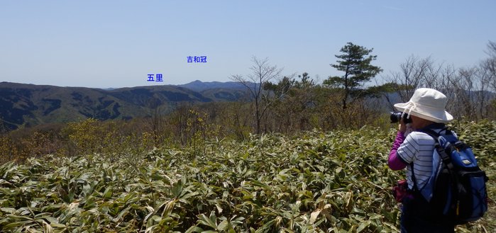 f0219710_7333589.jpg