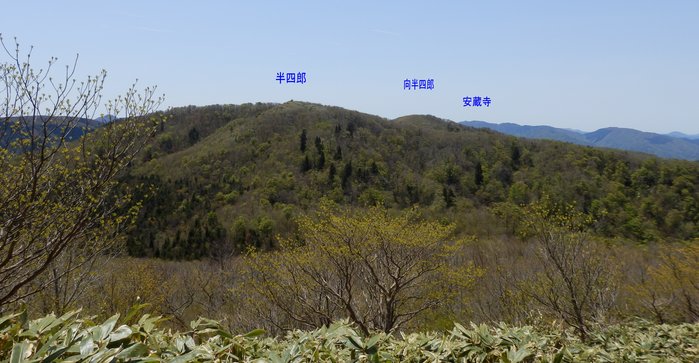 f0219710_734841.jpg