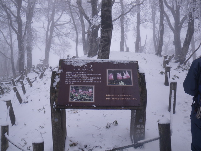 d0006512_18102097.jpg