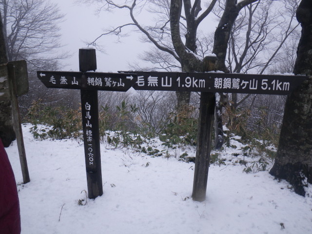 d0006512_18115077.jpg