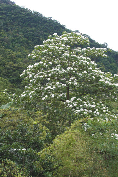 a0194615_21273177.jpg