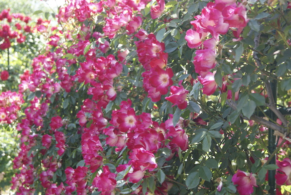 c0020320_20511190.jpg