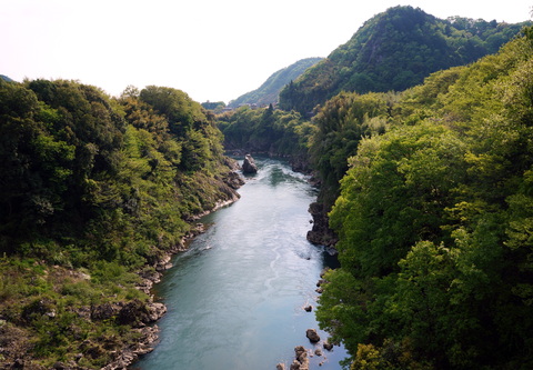 f0162720_1424839.jpg