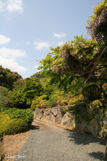 c0071221_1034960.jpg