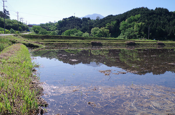 f0007926_1330485.jpg