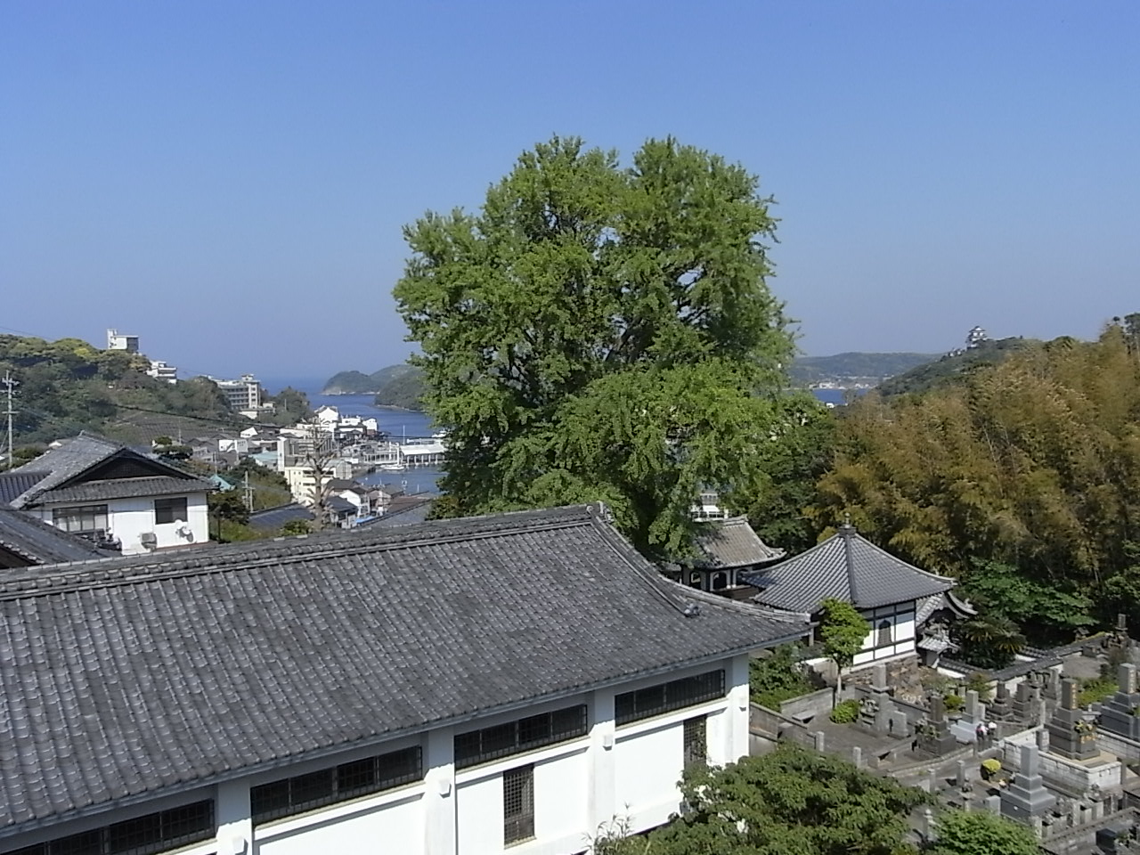 e0053327_22111850.jpg