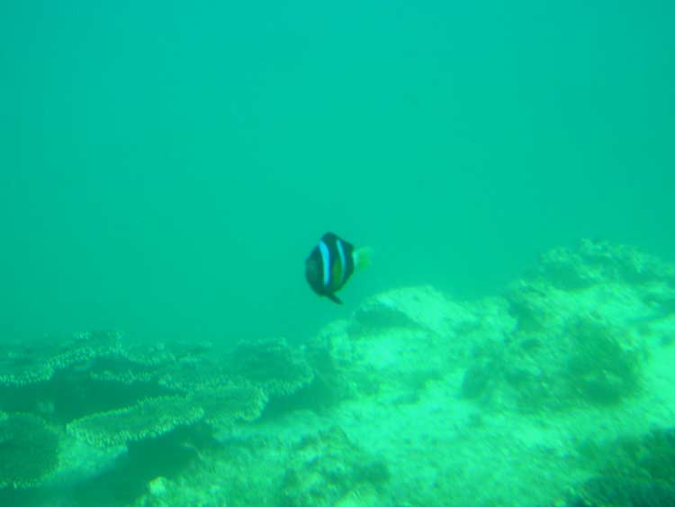 a0151129_20391933.jpg