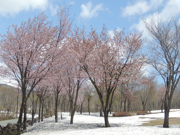 f0118332_224893.jpg