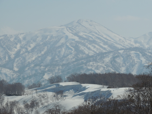 f0118332_23154625.jpg