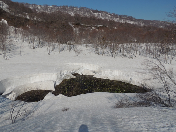 f0118332_23175549.jpg