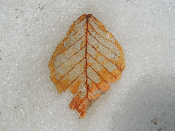 f0118332_234338.jpg