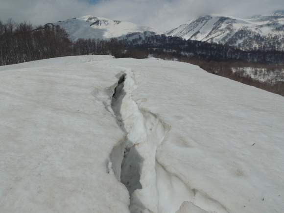 f0118332_237118.jpg