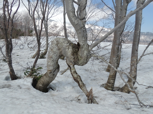 f0118332_2374980.jpg