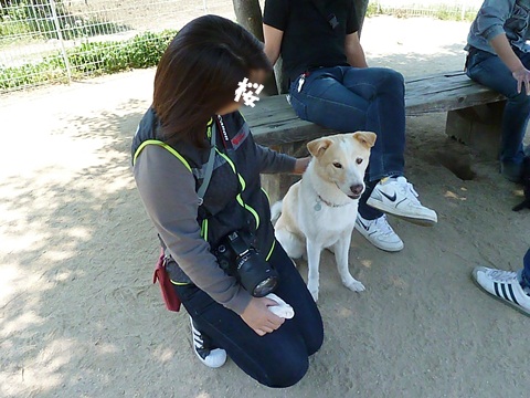 d0140133_153521.jpg