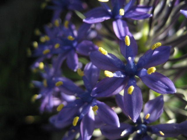 b0166435_1455281.jpg