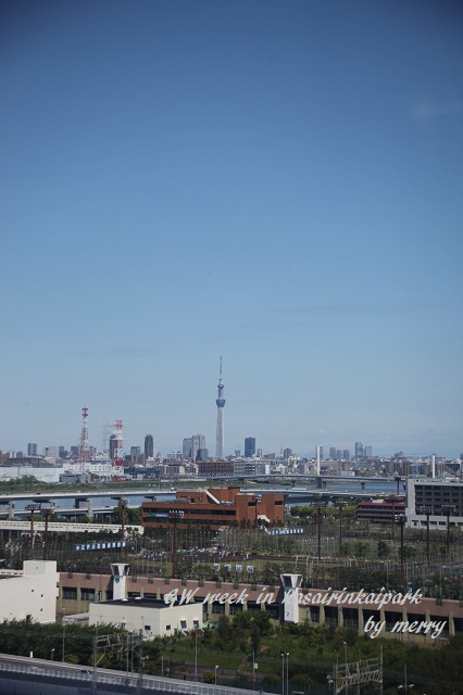 a0207736_15162664.jpg
