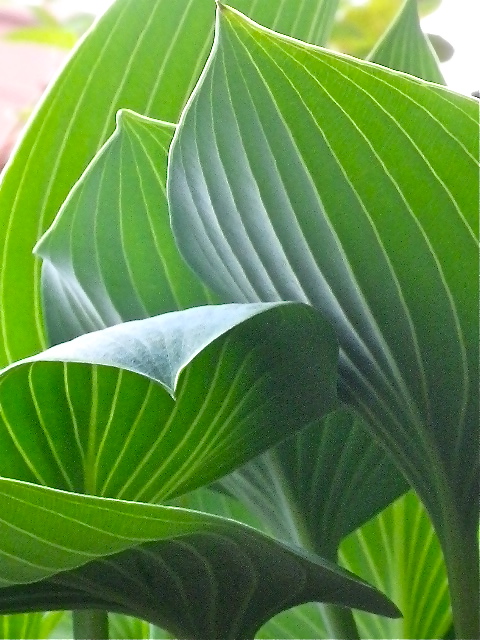 b0027736_0453885.jpg