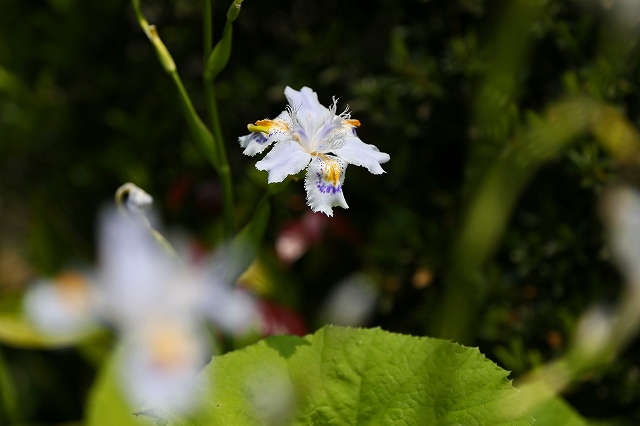 a0242438_192396.jpg