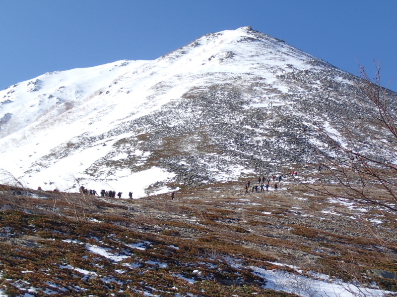 b0190242_11365450.jpg