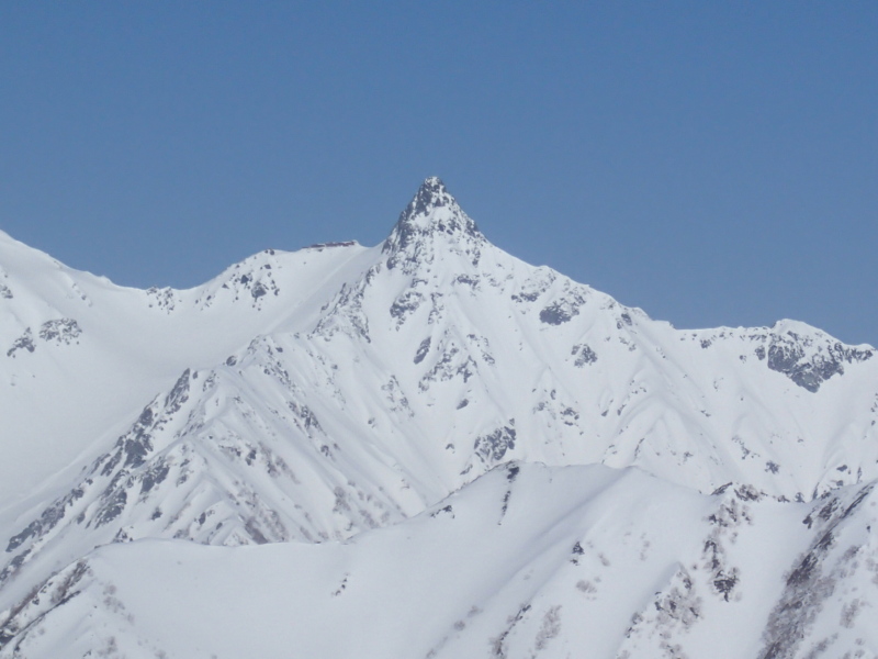 b0190242_1138037.jpg