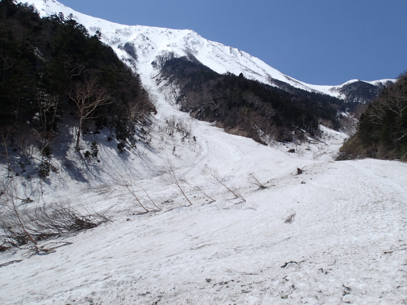 b0190242_11462134.jpg