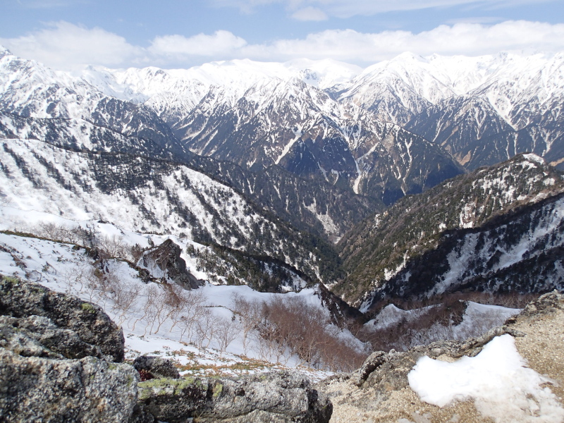 b0190242_1150199.jpg