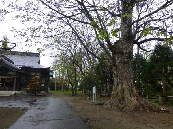 b0238249_2020218.jpg