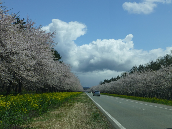 b0238249_20244180.jpg