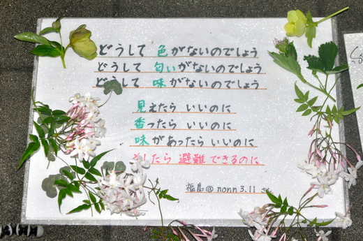 b0242956_0173048.jpg