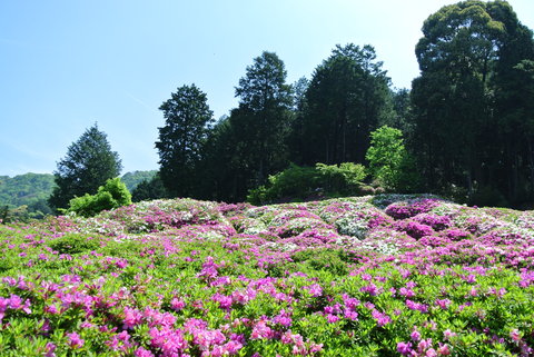 f0233356_20431456.jpg