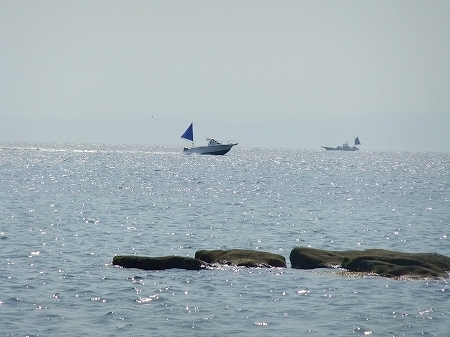 c0097558_11492449.jpg