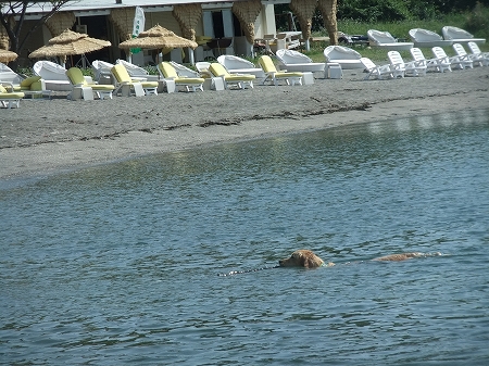 c0097558_1721392.jpg
