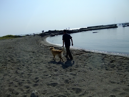 c0097558_17392480.jpg