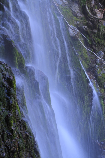 f0232758_2030280.jpg