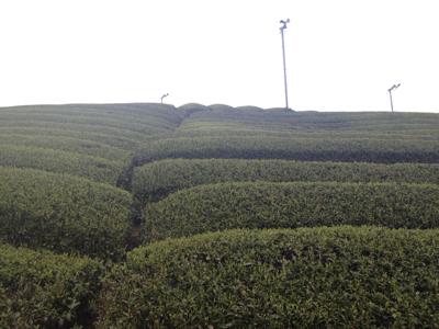d0259360_23102079.jpg