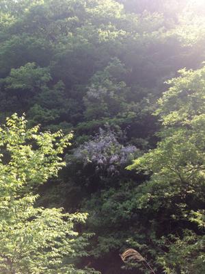 d0259360_238747.jpg