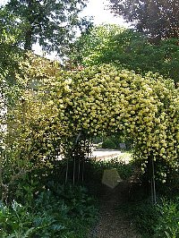 f0035962_1150398.jpg