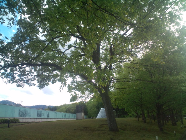 e0187064_05377.jpg