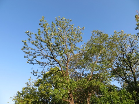 d0120665_14121342.jpg
