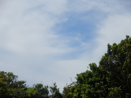 e0292172_20432211.jpg