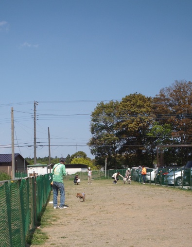 b0239176_187524.jpg