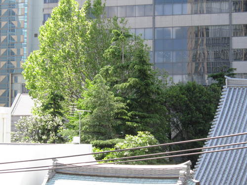e0262977_1082464.jpg