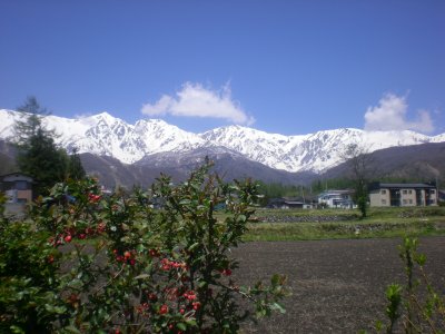 e0014678_12513626.jpg
