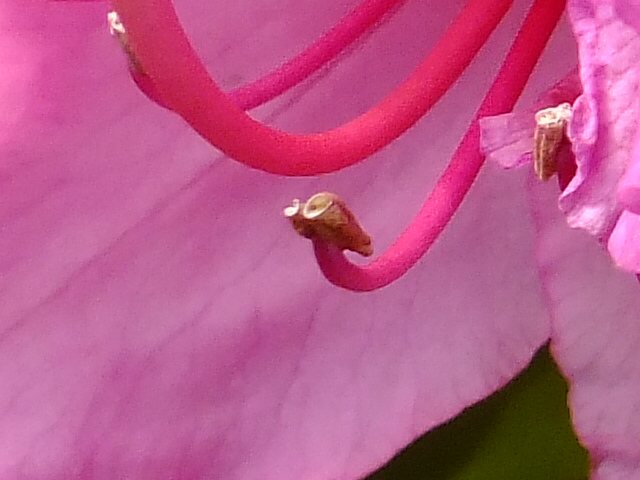 e0145782_17535792.jpg