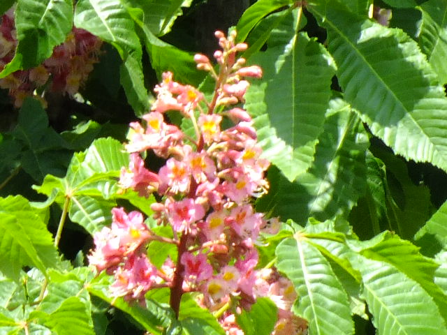 e0145782_17594721.jpg