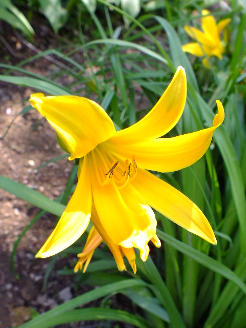 e0145782_1815141.jpg