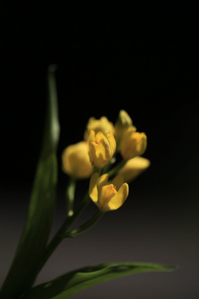 a0076683_20313479.jpg