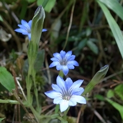 e0271890_2229097.jpg