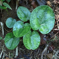 e0271890_22292085.jpg